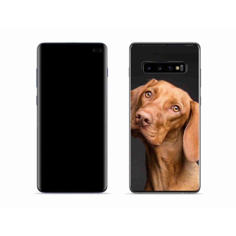 Gélový obal mmCase na mobil Samsung Galaxy S10 - maďarský stavač