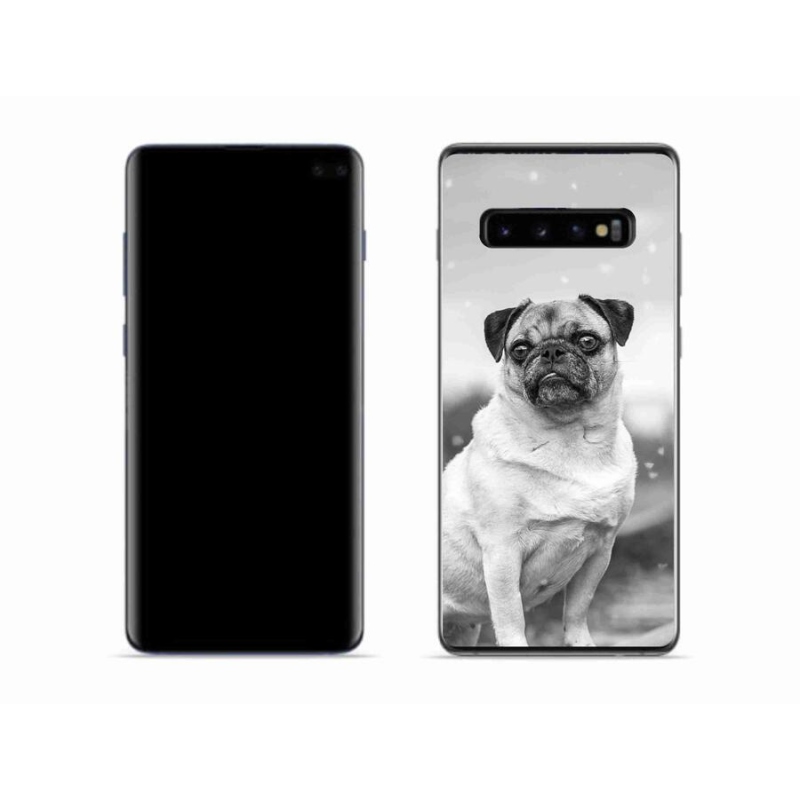 Gélový obal mmCase na mobil Samsung Galaxy S10 - mops