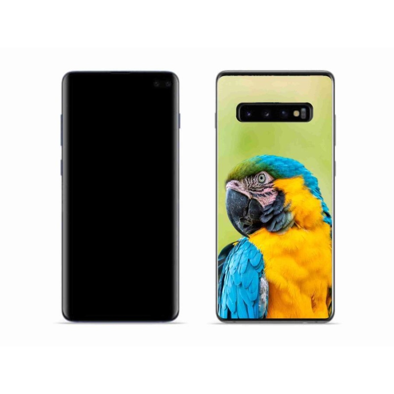 Gélový obal mmCase na mobil Samsung Galaxy S10 - papagáj ara 2