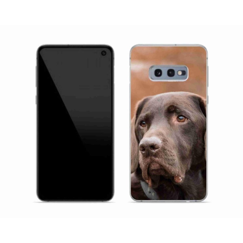 Gélový obal mmCase na mobil Samsung Galaxy S10e - hnedý labrador