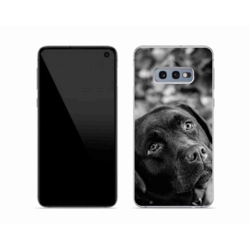 Gélový obal mmCase na mobil Samsung Galaxy S10e - labrador