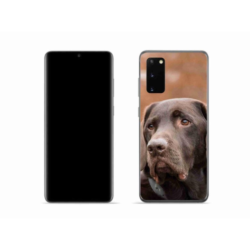 Gélový obal mmCase na mobil Samsung Galaxy S20 - hnedý labrador