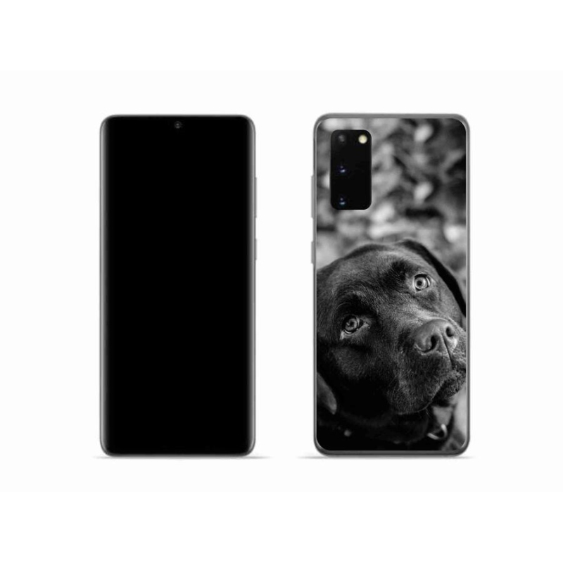 Gélový obal mmCase na mobil Samsung Galaxy S20 - labrador