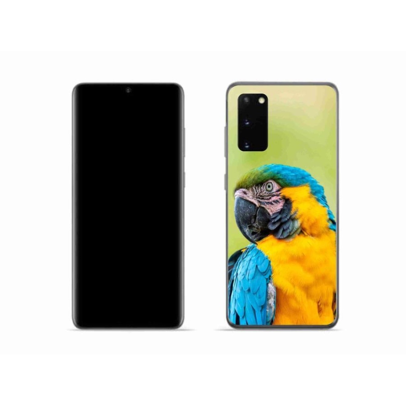 Gélový obal mmCase na mobil Samsung Galaxy S20 - papagáj ara 2