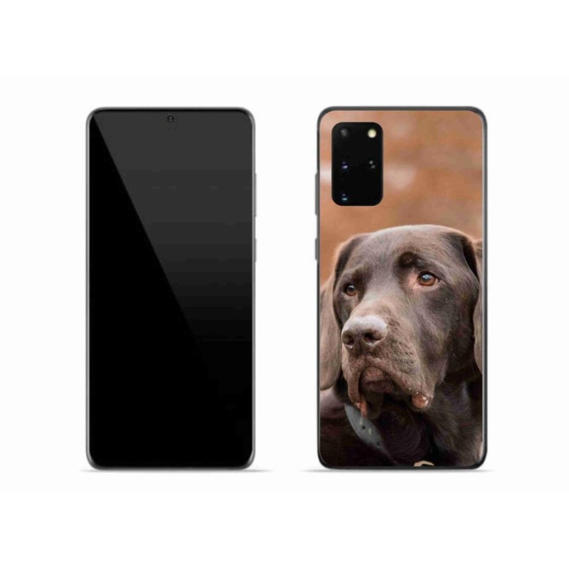 Gélový obal mmCase na mobil Samsung Galaxy S20 Plus - hnedý labrador