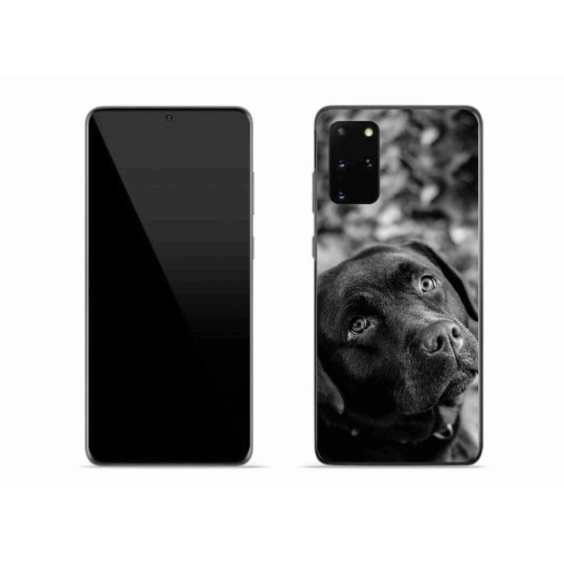 Gélový obal mmCase na mobil Samsung Galaxy S20 Plus - labrador