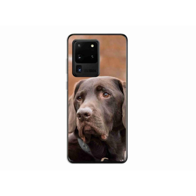 Gélový obal mmCase na mobil Samsung Galaxy S20 Ultra - hnedý labrador