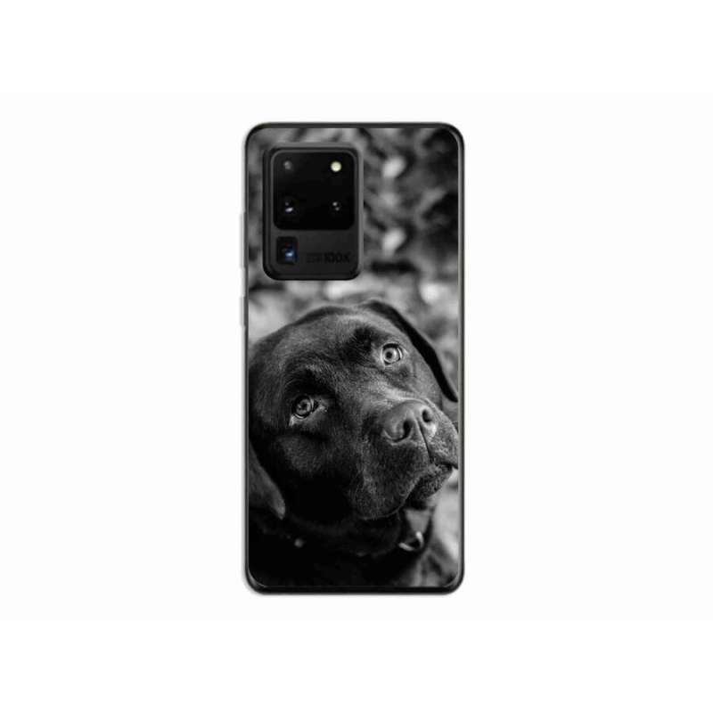 Gélový obal mmCase na mobil Samsung Galaxy S20 Ultra - labrador