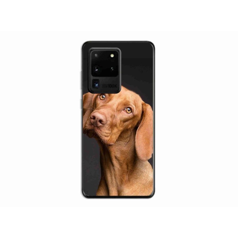 Gélový obal mmCase na mobil Samsung Galaxy S20 Ultra - maďarský stavač