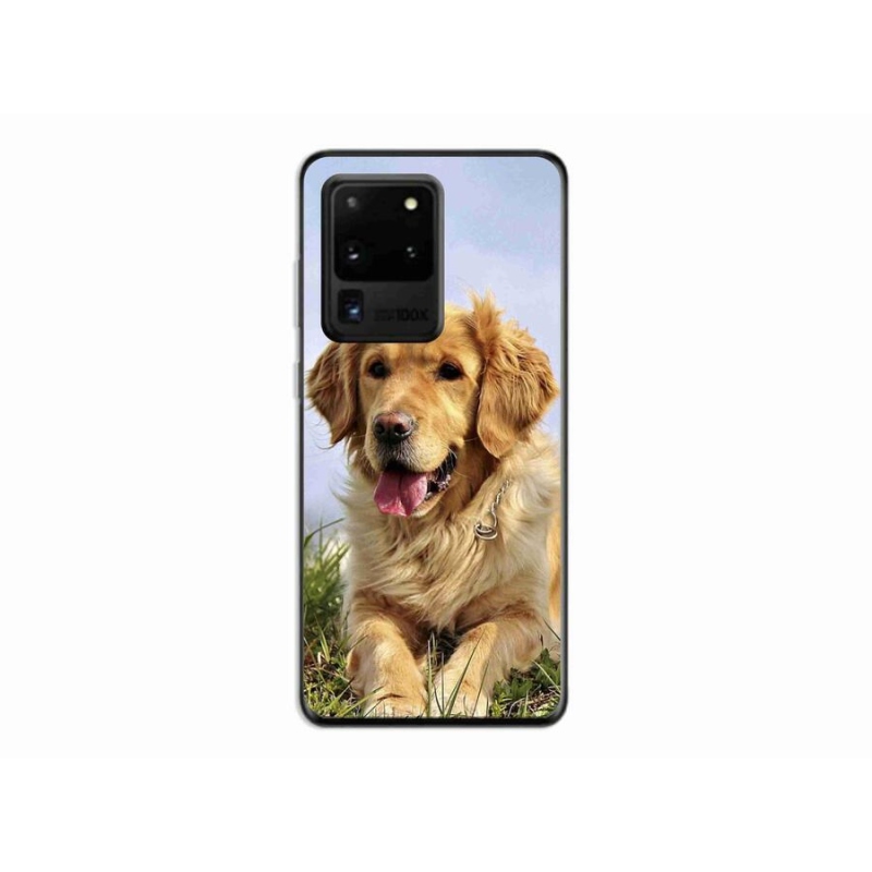 Gélový obal mmCase na mobil Samsung Galaxy S20 Ultra - zlatý retriever