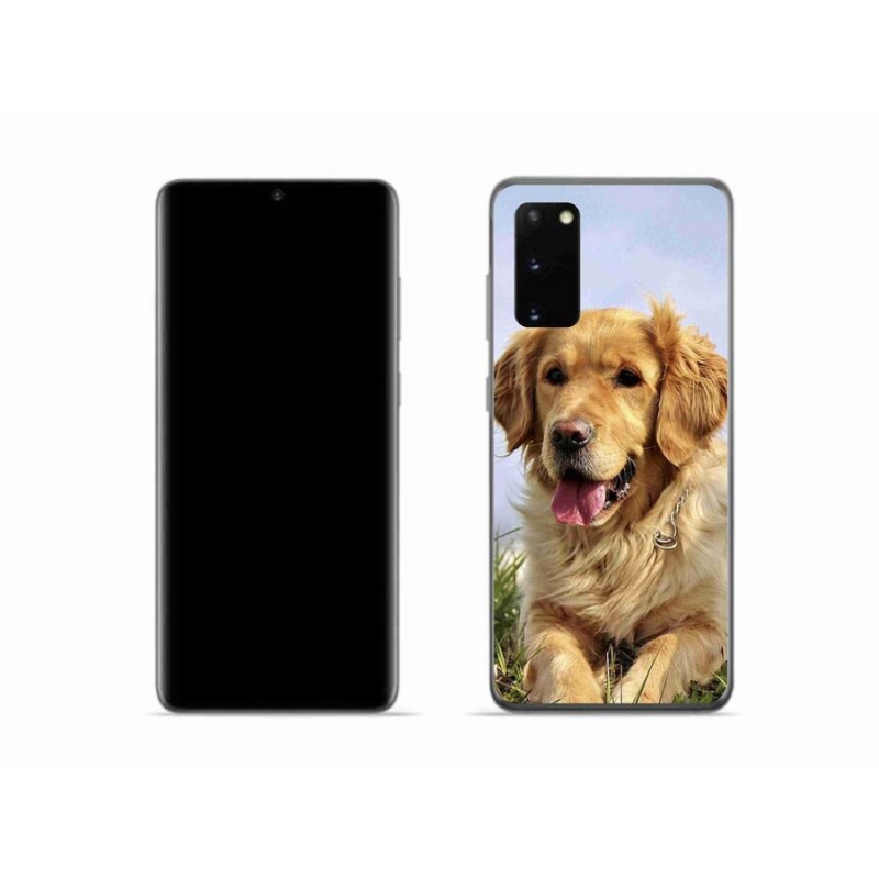 Gélový obal mmCase na mobil Samsung Galaxy S20 - zlatý retriever