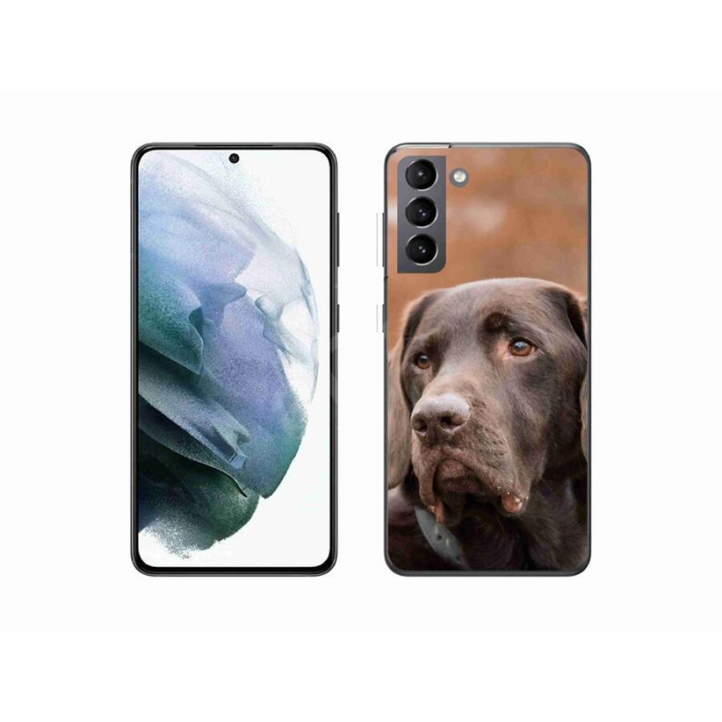 Gélový obal mmCase na mobil Samsung Galaxy S21 - hnedý labrador