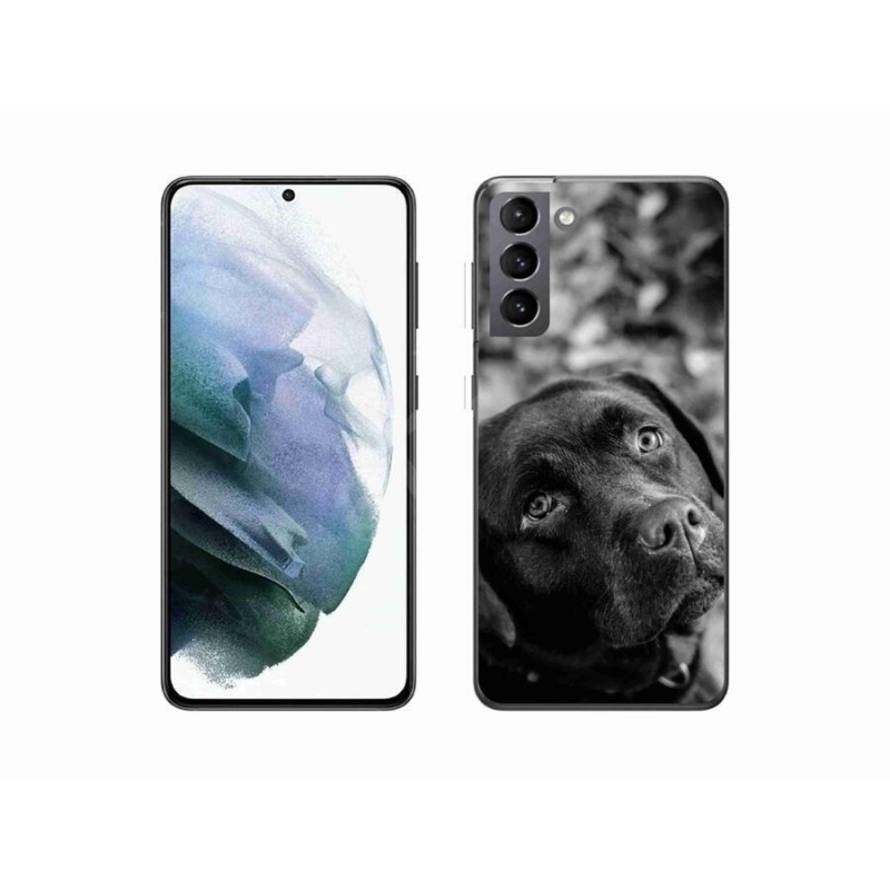 Gélový obal mmCase na mobil Samsung Galaxy S21 - labrador