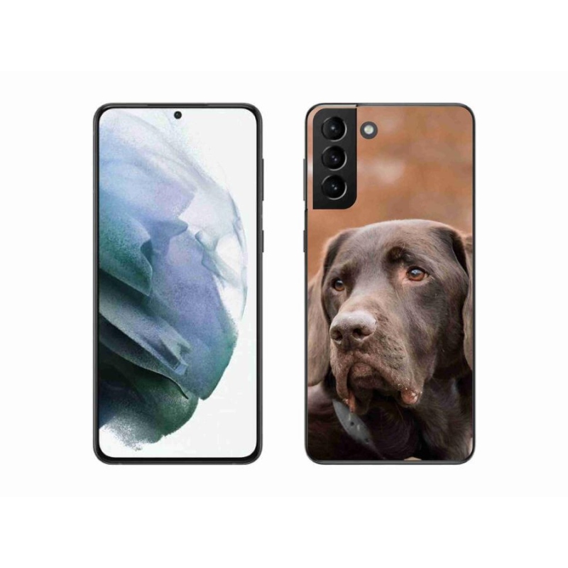 Gélový obal mmCase na mobil Samsung Galaxy S21 Plus - hnedý labrador