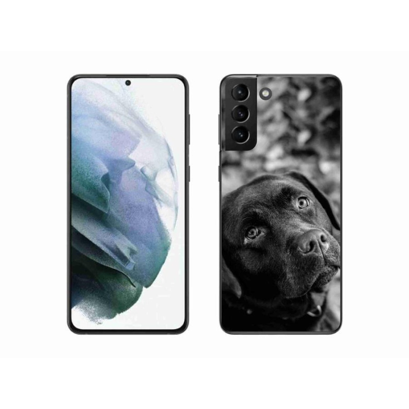 Gélový obal mmCase na mobil Samsung Galaxy S21 Plus - labrador