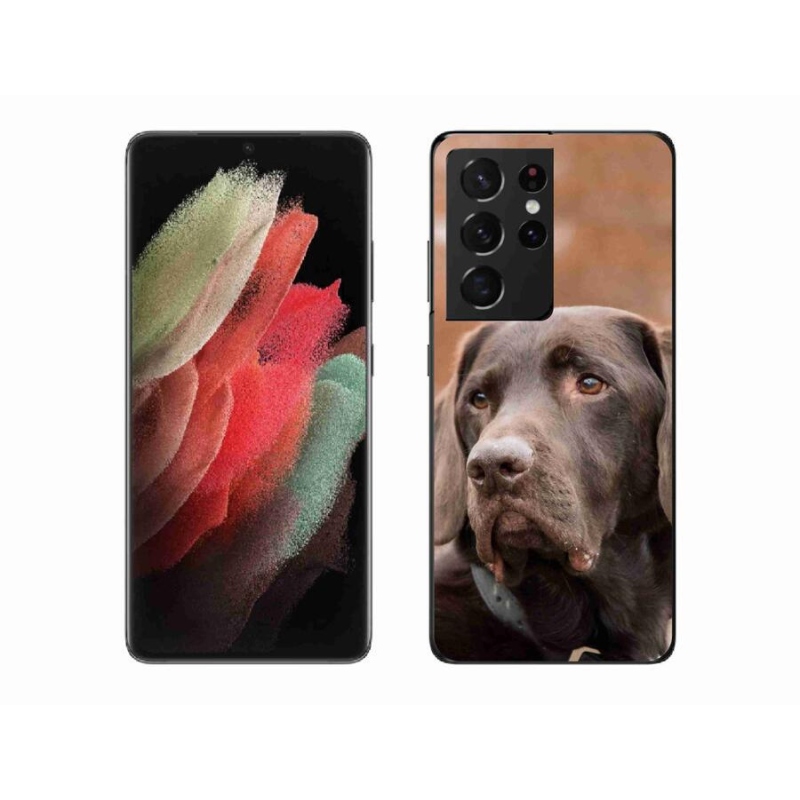 Gélový obal mmCase na mobil Samsung Galaxy S21 Ultra 5G - hnedý labrador