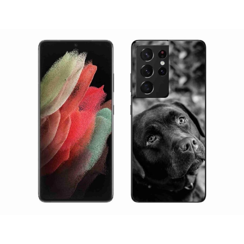 Gélový obal mmCase na mobil Samsung Galaxy S21 Ultra 5G - labrador