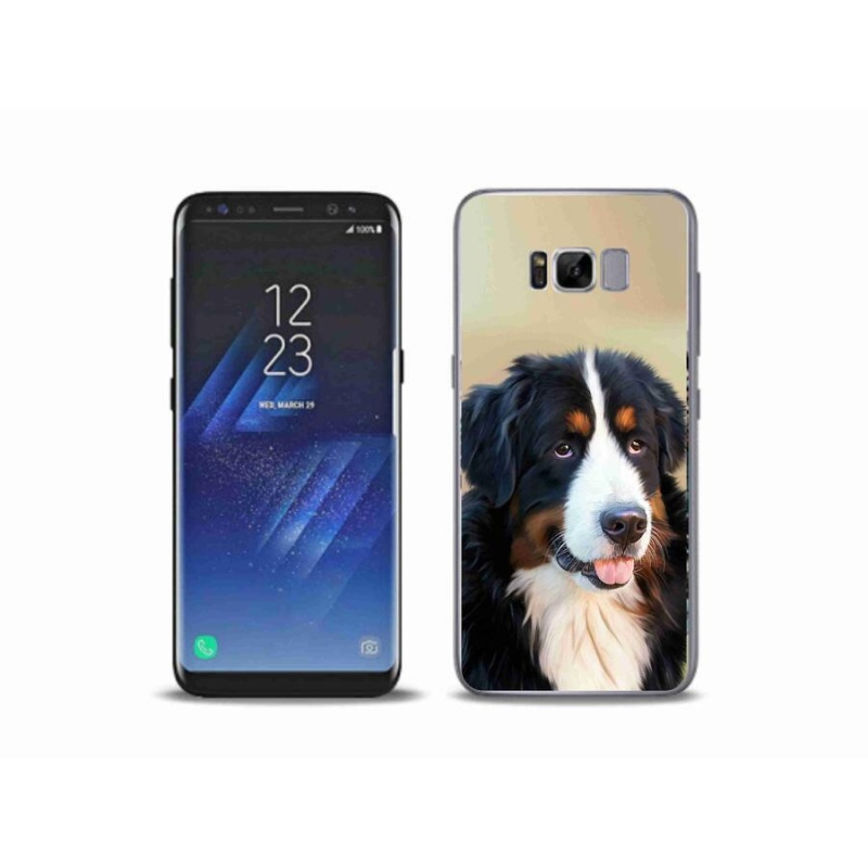 Gélový obal mmCase na mobil Samsung Galaxy S8 Plus - bernský salašnícky pes