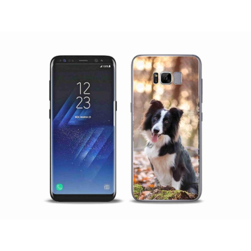 Gélový obal mmCase na mobil Samsung Galaxy S8 Plus - border kólie 1