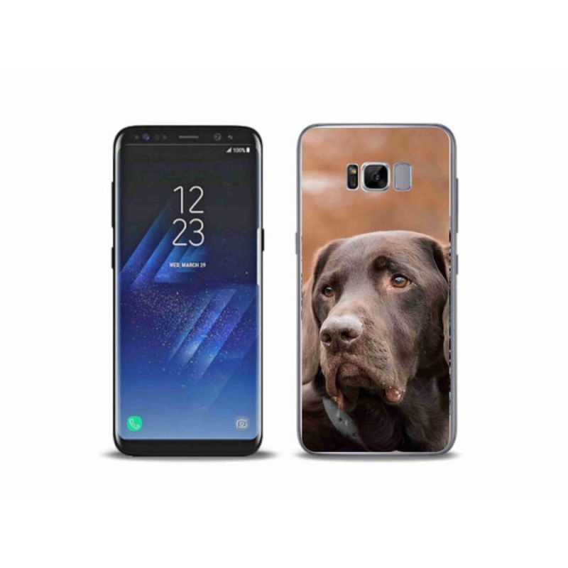 Gélový obal mmCase na mobil Samsung Galaxy S8 Plus - hnedý labrador