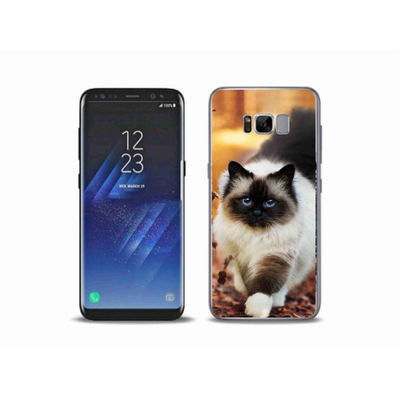 Gélový obal mmCase na mobil Samsung Galaxy S8 Plus - mačka 1