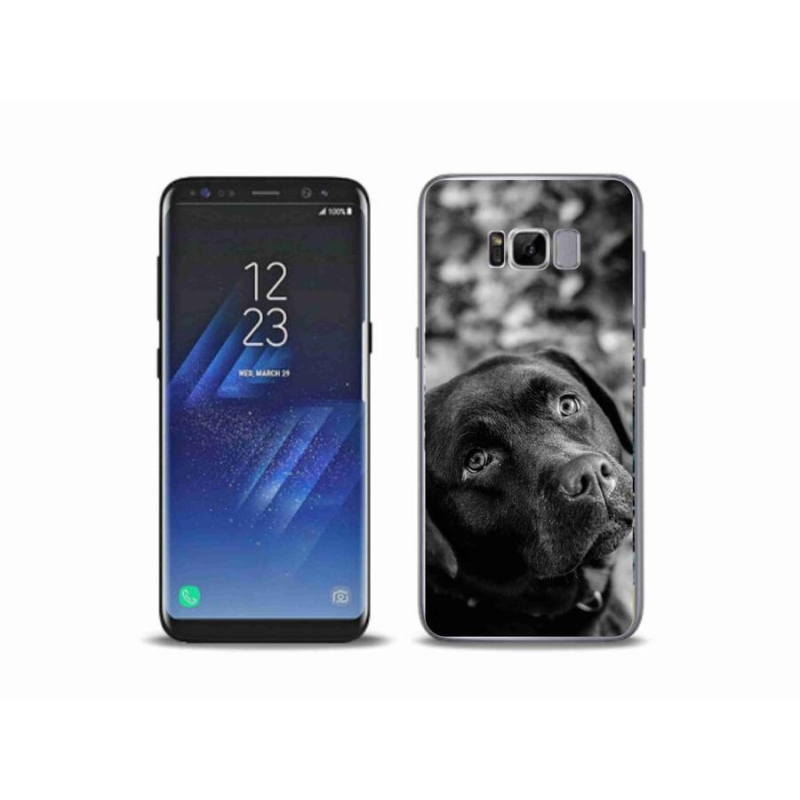 Gélový obal mmCase na mobil Samsung Galaxy S8 Plus - labrador