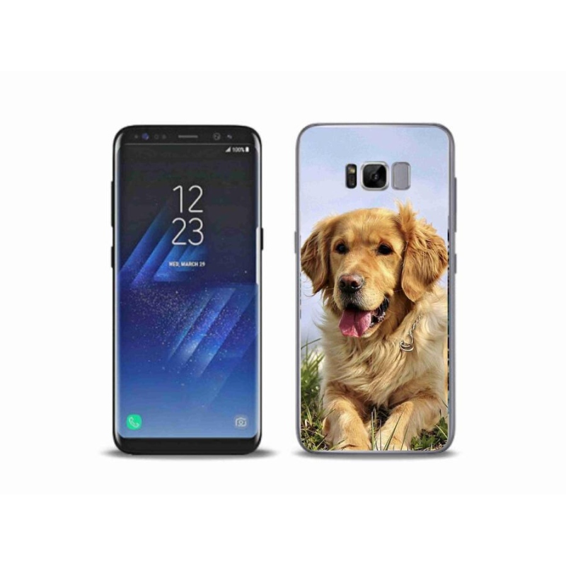 Gélový obal mmCase na mobil Samsung Galaxy S8 Plus - zlatý retriever