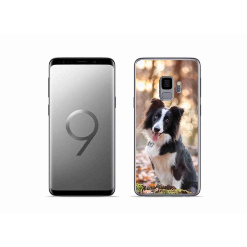 Gélový obal mmCase na mobil Samsung Galaxy S9 - border kólie 1