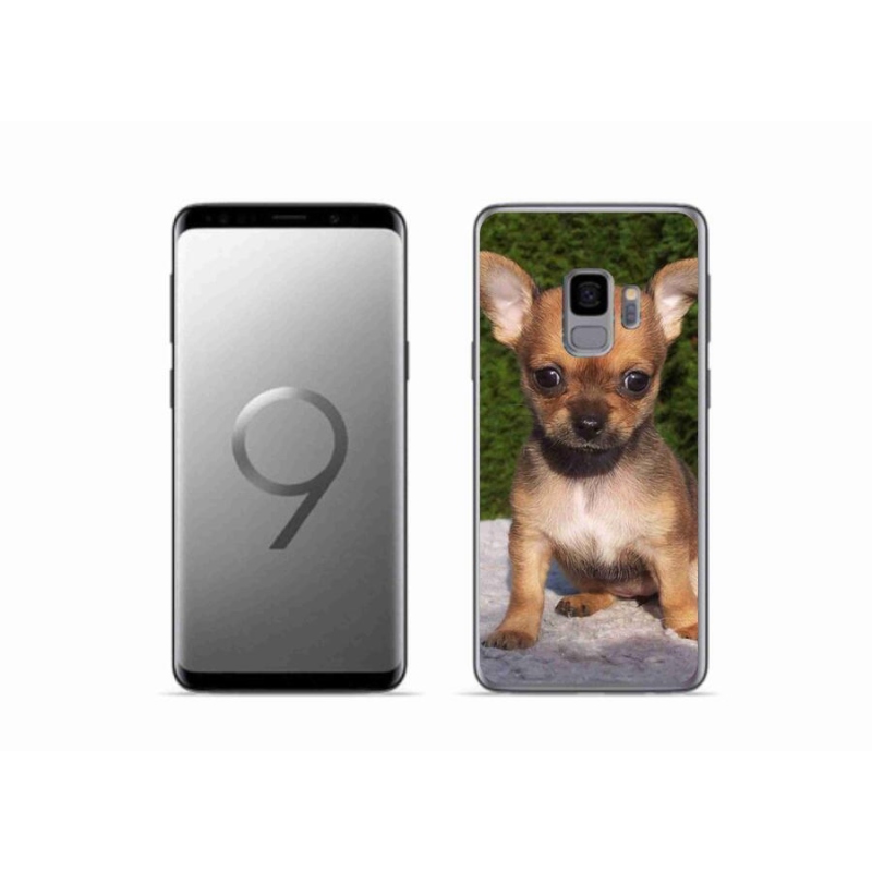 Gélový obal mmCase na mobil Samsung Galaxy S9 - čivava 3