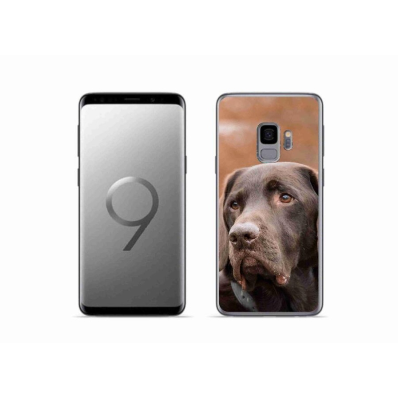 Gélový obal mmCase na mobil Samsung Galaxy S9 - hnedý labrador