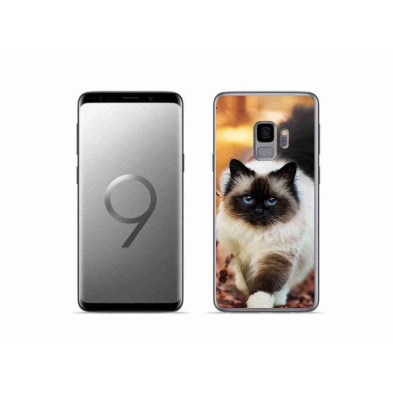 Gélový obal mmCase na mobil Samsung Galaxy S9 - mačka 1