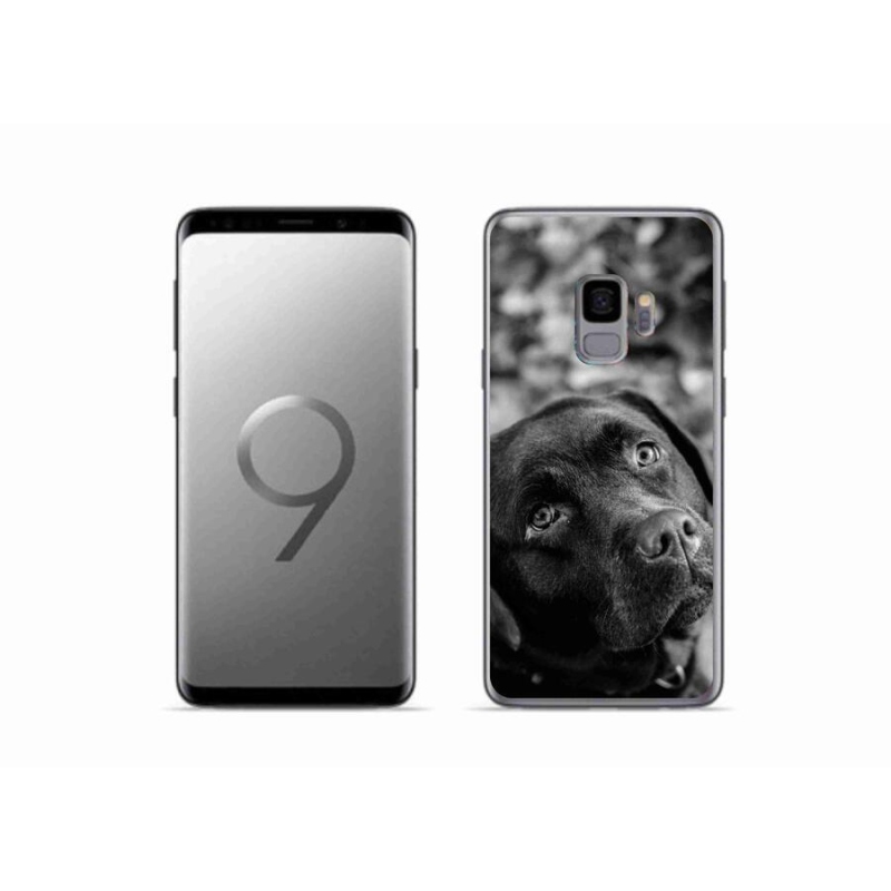 Gélový obal mmCase na mobil Samsung Galaxy S9 - labrador