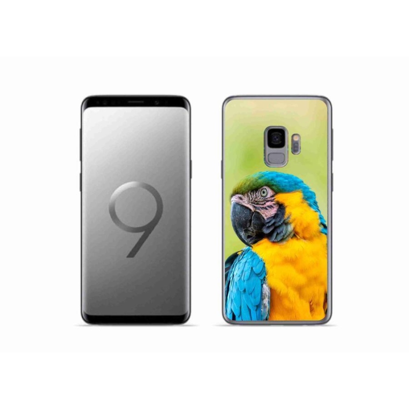 Gélový obal mmCase na mobil Samsung Galaxy S9 - papagáj ara 2