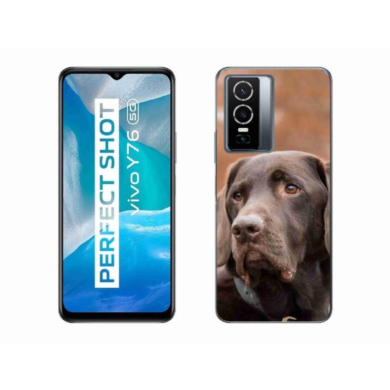 Gélový obal mmCase na mobil Vivo Y76 5G - hnedý labrador