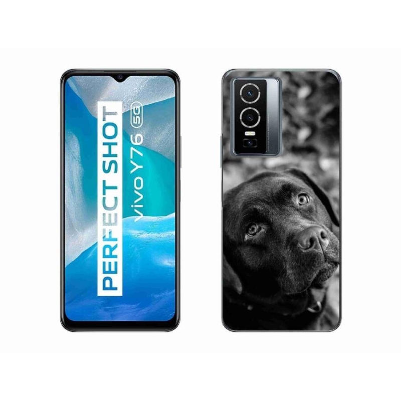 Gélový obal mmCase na mobil Vivo Y76 5G - labrador