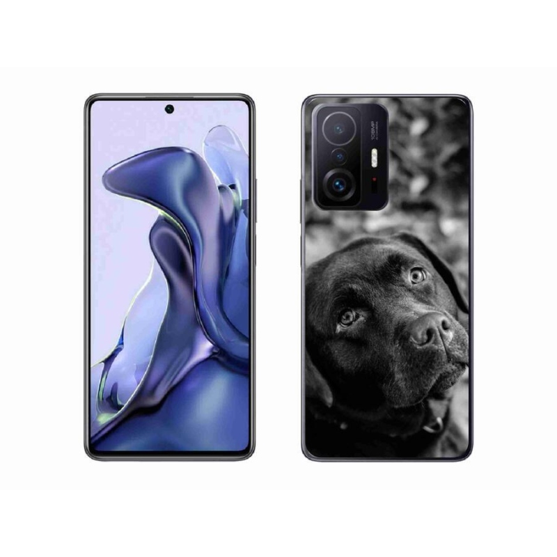Gélový obal mmCase na mobil Xiaomi 11T - labrador