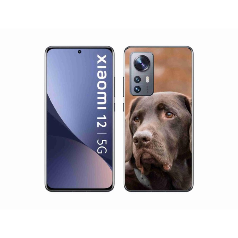 Gélový obal mmCase na mobil Xiaomi 12 - hnedý labrador