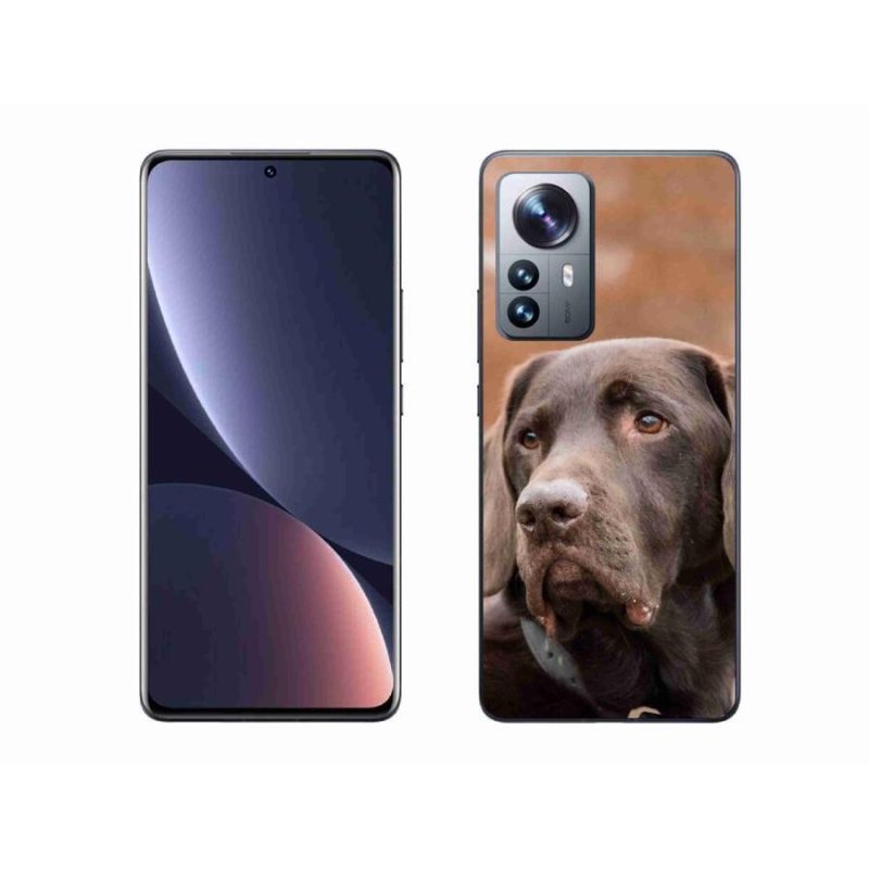 Gélový obal mmCase na mobil Xiaomi 12 Pro - hnedý labrador