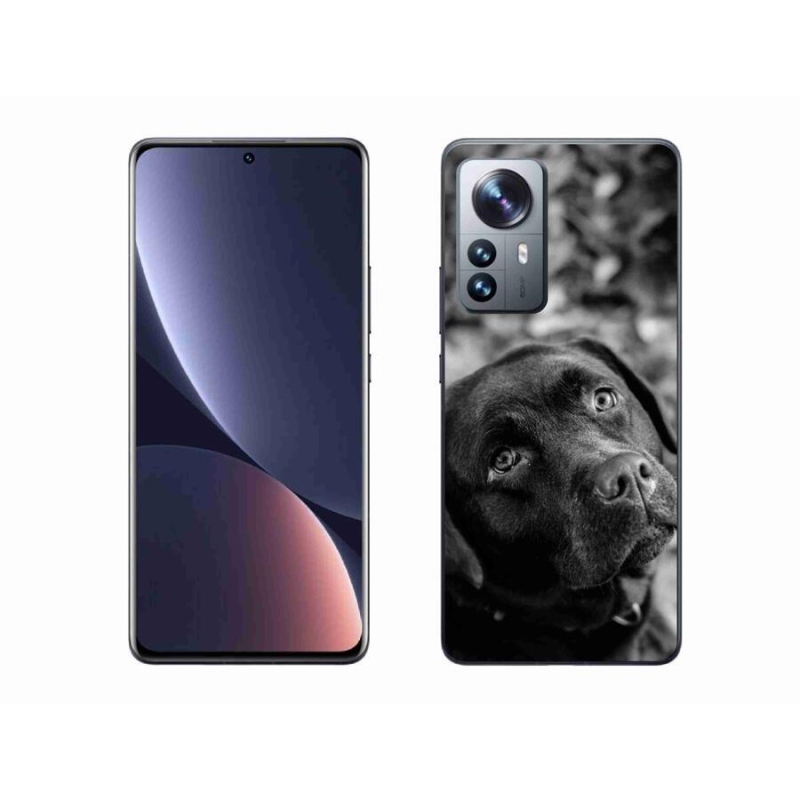 Gélový obal mmCase na mobil Xiaomi 12 Pro - labrador