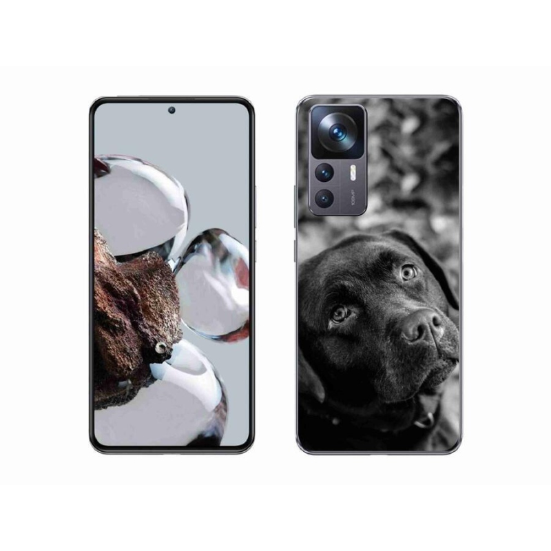 Gélový obal mmCase na mobil Xiaomi 12T - labrador