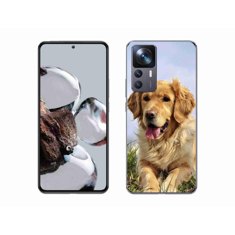 Gélový obal mmCase na mobil Xiaomi 12T - zlatý retriever