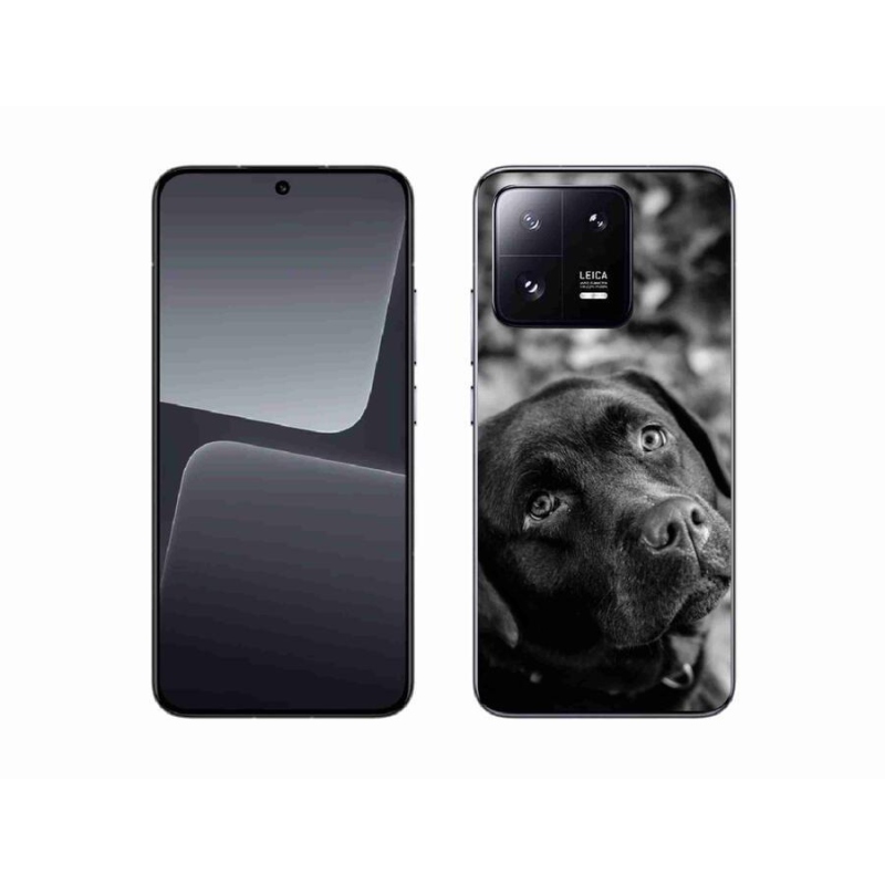 Gélový obal mmCase na mobil Xiaomi 13 - labrador