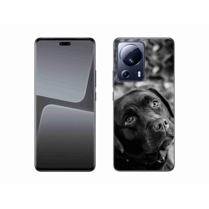 Gélový obal mmCase na mobil Xiaomi 13 Lite - labrador