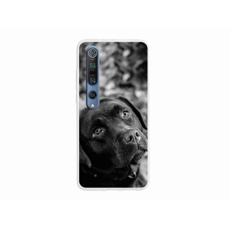 Gélový obal mmCase na mobil Xiaomi Mi 10 - labrador