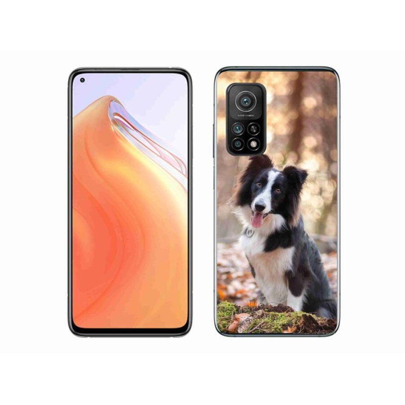 Gélový obal mmCase na mobil Xiaomi Mi 10T 5G - border kólie 1