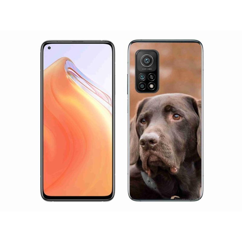 Gélový obal mmCase na mobil Xiaomi Mi 10T 5G - hnedý labrador