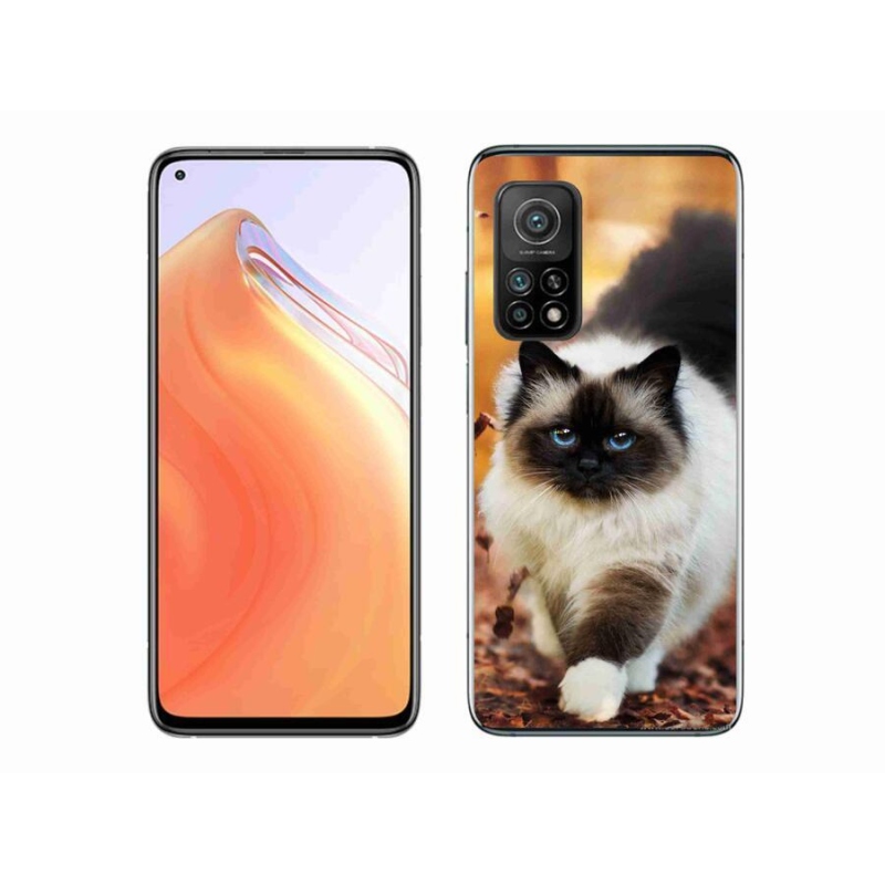 Gélový obal mmCase na mobil Xiaomi Mi 10T 5G - mačka 1