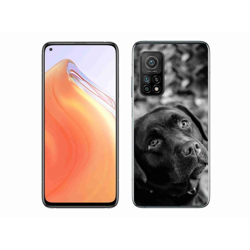 Gélový obal mmCase na mobil Xiaomi Mi 10T 5G - labrador