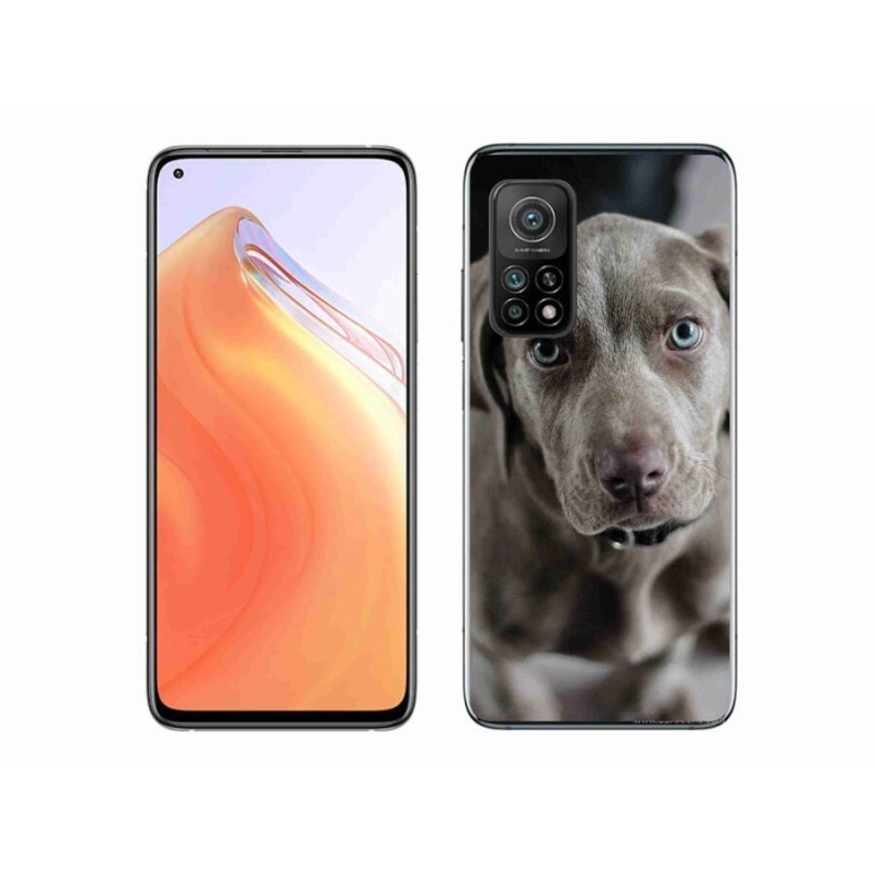 Gélový obal mmCase na mobil Xiaomi Mi 10T Pro 5G - weimarský stavač