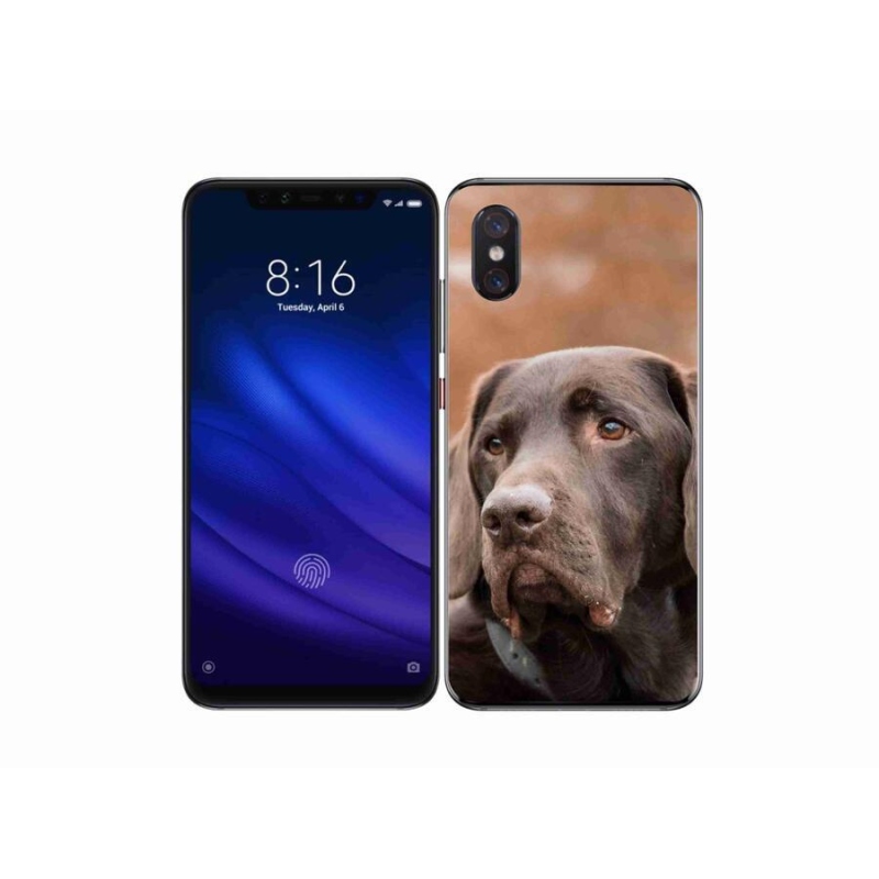 Gélový obal mmCase na mobil Xiaomi Mi 8 Pro - hnedý labrador